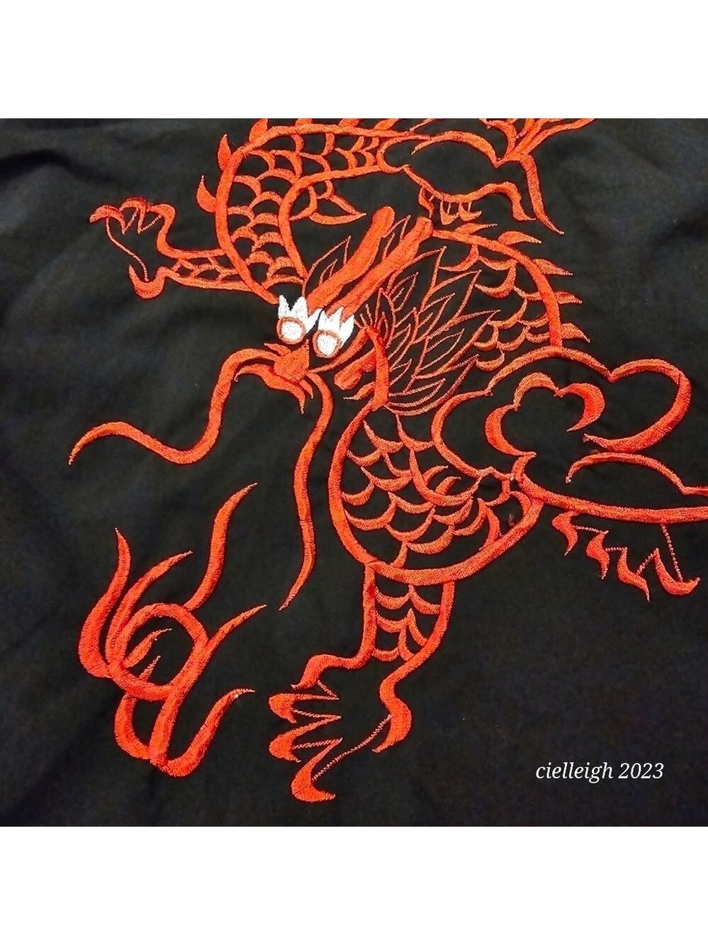 💥4 for $25💥 Dragon Embroidered Robe - Picture 3 of 7